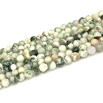 CAG1116 Tree Agate Beads Faceted Round 6mm 15" Strand