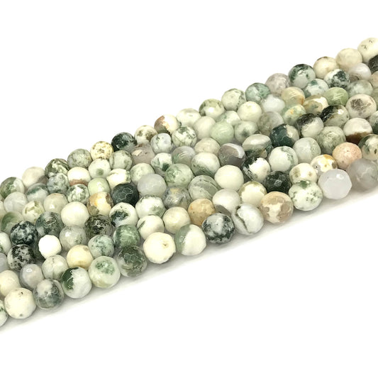 CAG1116 Tree Agate Beads Faceted Round 6mm 15" Strand