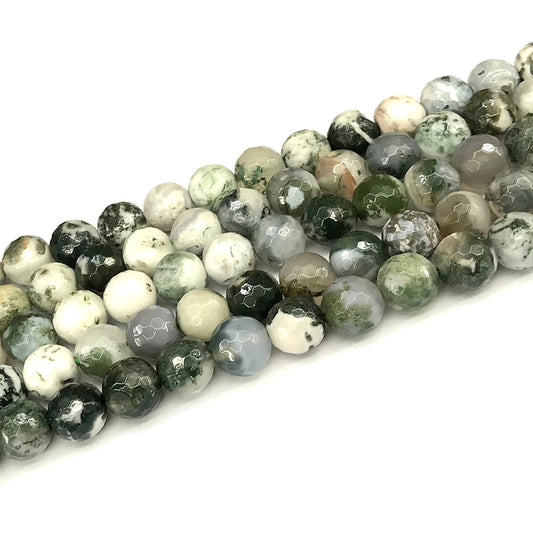 CAG1118 Tree Agate Beads Faceted Round 10mm 15" Strand