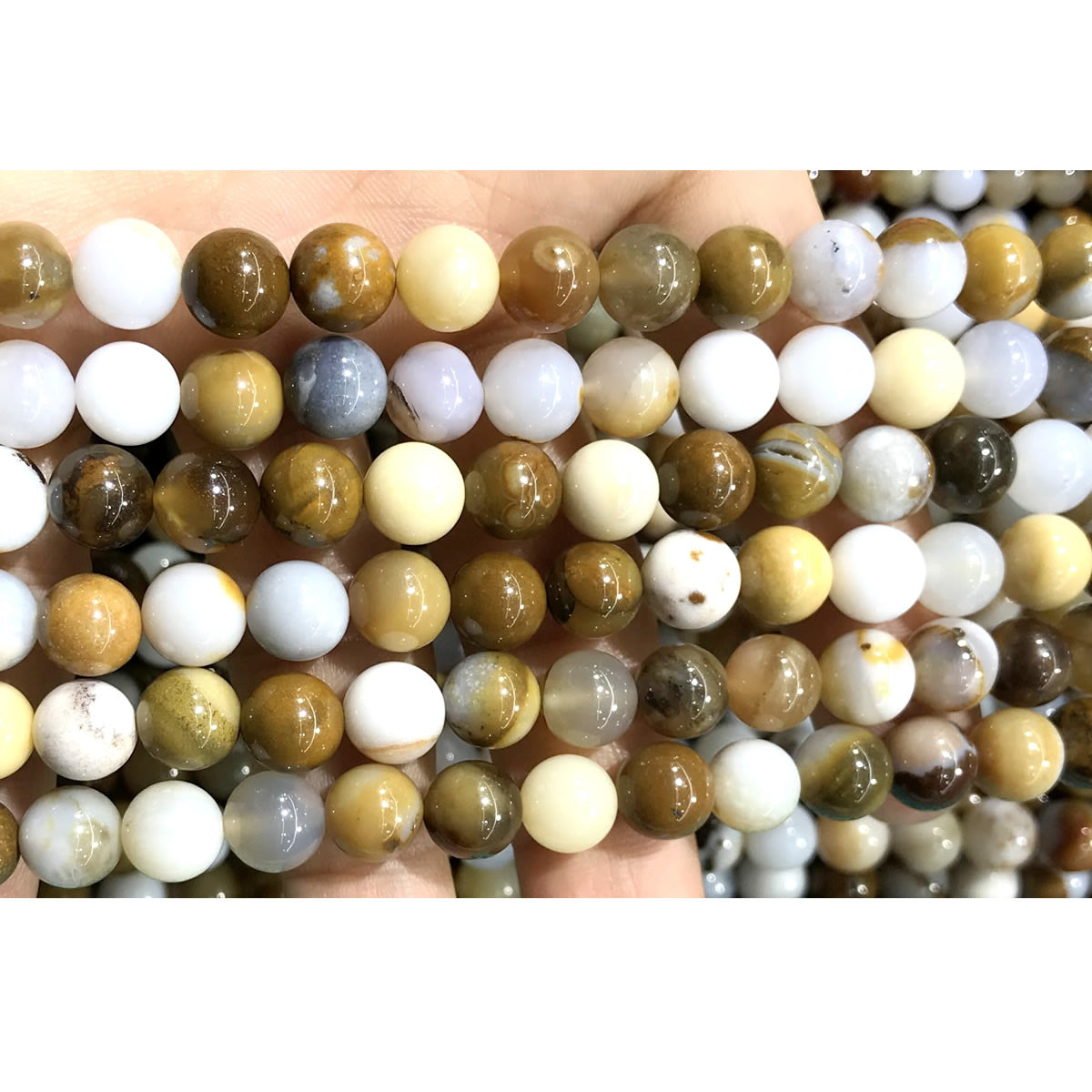 CAG569 Polka Dot Agate Beads Smooth Round 8mm 15" Strand