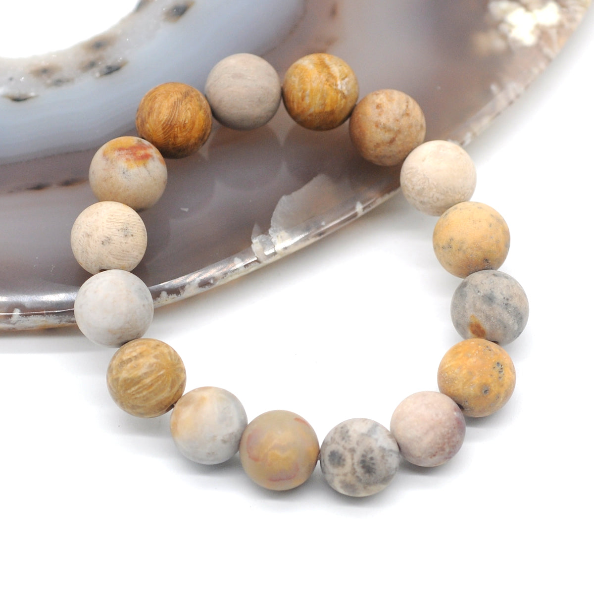 CGB156 Fossil Coral Beads Stretch Bracelet Matte Round 10mm 12mm