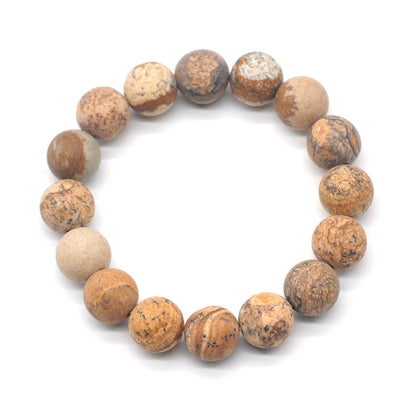 CGB166 Picture Jasper Beads Stretch Bracelet Matte Round 10mm 12mm