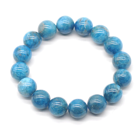 CGB20 Apatite Gemstone Beads Stretch Bracelet Smooth Round 10mm 12mm