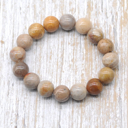 CGB50 Fossil Coral Beads Stretch Bracelet Smooth Round 10mm 12mm