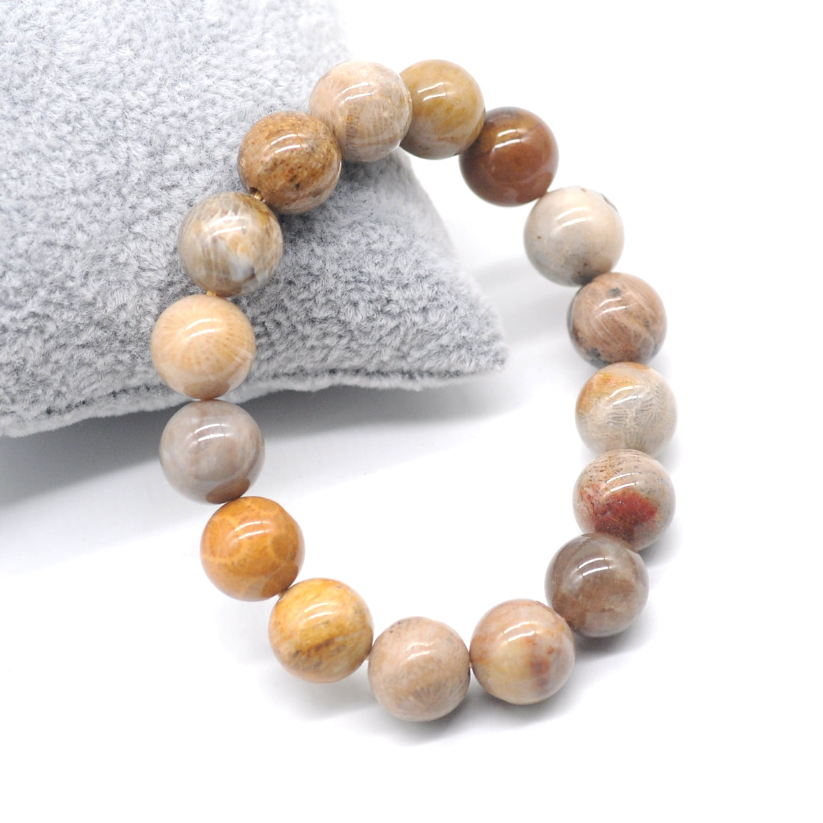 CGB50 Fossil Coral Beads Stretch Bracelet Smooth Round 10mm 12mm