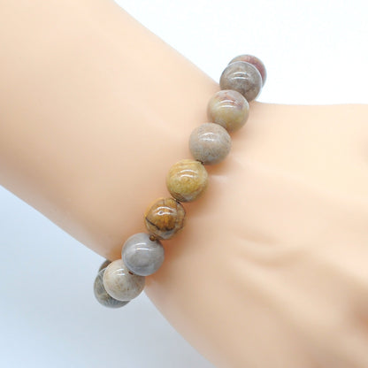 CGB50 Fossil Coral Beads Stretch Bracelet Smooth Round 10mm 12mm