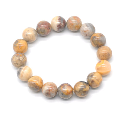 CGB66 Yellow Crazy Lace Agate Beads Stretch Bracelet Smooth Round 10mm 12mm