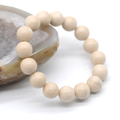 CGB80 White Fossil Jasper Beads Stretch Bracelet Smooth Round 10mm 12mm