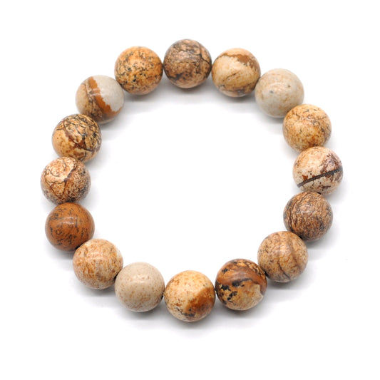 CGB86 Picture Jasper Beads Stretch Bracelet Smooth Round 10mm 12mm