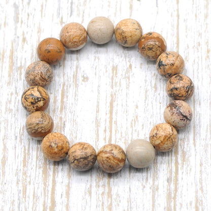 CGB86 Picture Jasper Beads Stretch Bracelet Smooth Round 10mm 12mm