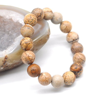 CGB86 Picture Jasper Beads Stretch Bracelet Smooth Round 10mm 12mm