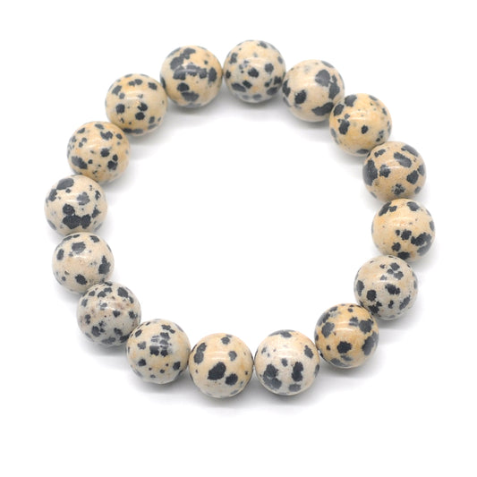 CGB93 Dalmatian Jasper Beads Stretch Bracelet Smooth Round 10mm 12mm