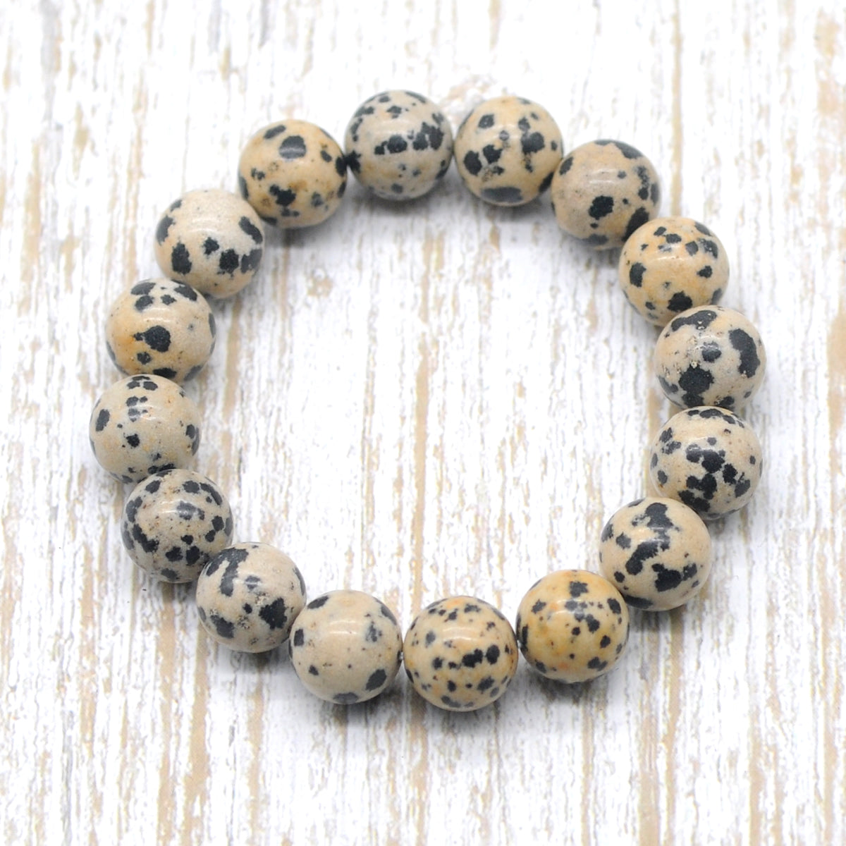 CGB93 Dalmatian Jasper Beads Stretch Bracelet Smooth Round 10mm 12mm