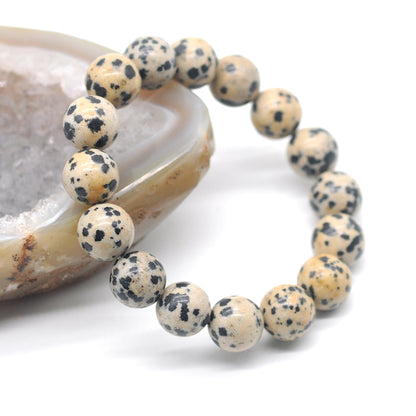 CGB93 Dalmatian Jasper Beads Stretch Bracelet Smooth Round 10mm 12mm