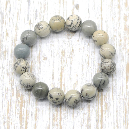 CGB94 Greeting Pine Jasper Beads Stretch Bracelet Smooth Round 10mm 12mm