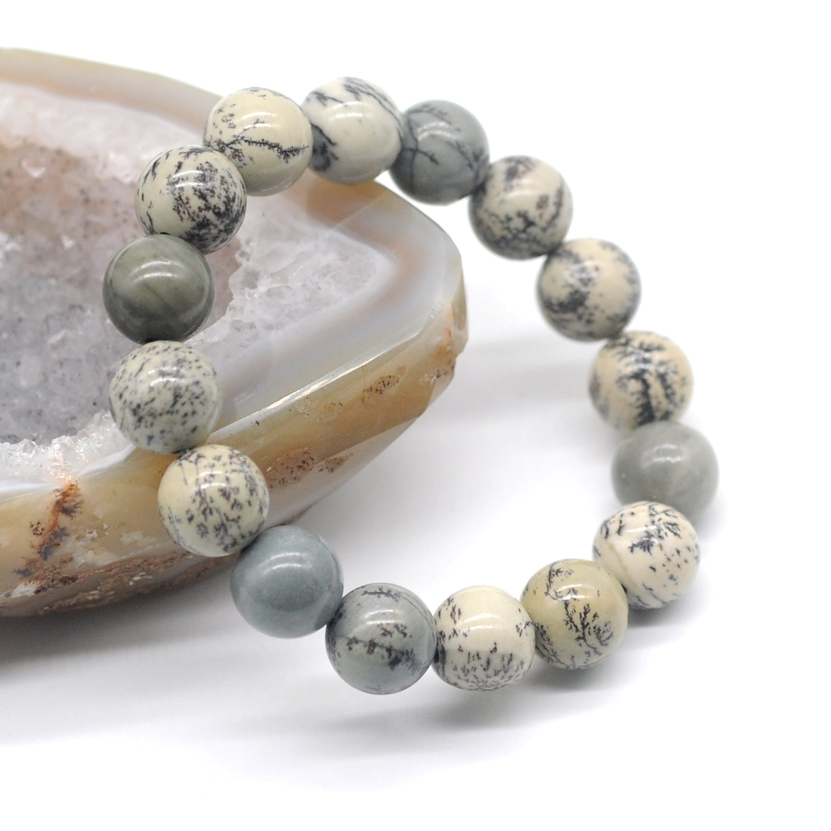 CGB94 Greeting Pine Jasper Beads Stretch Bracelet Smooth Round 10mm 12mm