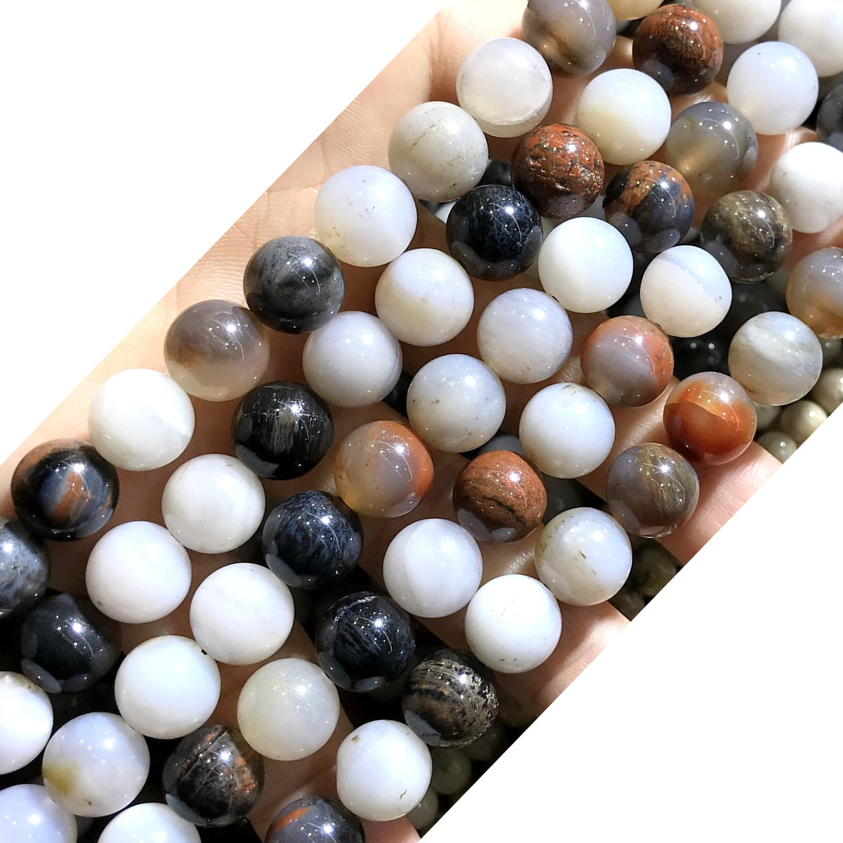 CJP506 Arizona Petrified Wood Jasper Beads Smooth Round 10mm 15" Strand