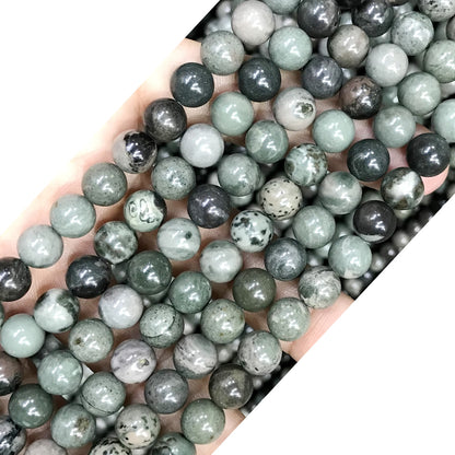 CJP521 Green Forest Jasper Beads Smooth Round 8mm 15" Strand