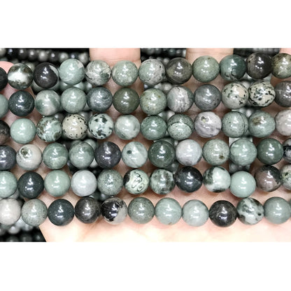 CJP521 Green Forest Jasper Beads Smooth Round 8mm 15" Strand