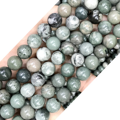 CJP522 Green Forest Jasper Beads Smooth Round 10mm 15" Strand