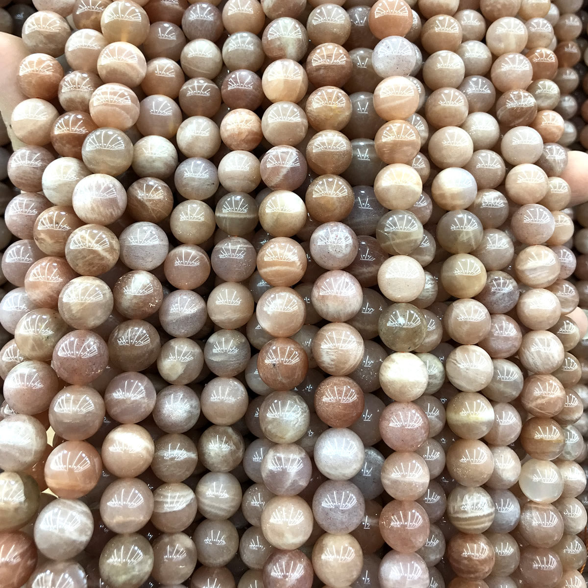 CMS142 Moonstone Gemstone Beads Smooth Round 10mm 15" Strand