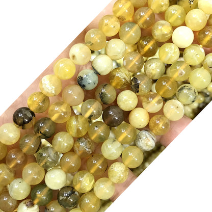 COP133 Yellow Opal Gemstone Beads Smooth Round 8mm 15" Strand