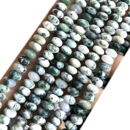 CRB278 Tree Agate Beads Smooth Rondelle 5x8mm 15" Strand