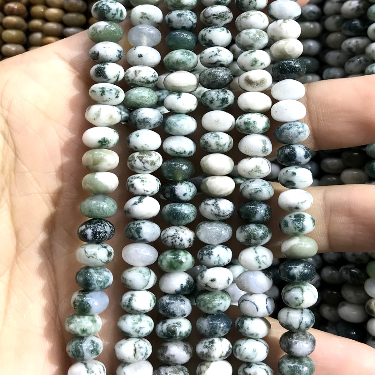 CRB278 Tree Agate Beads Smooth Rondelle 5x8mm 15" Strand