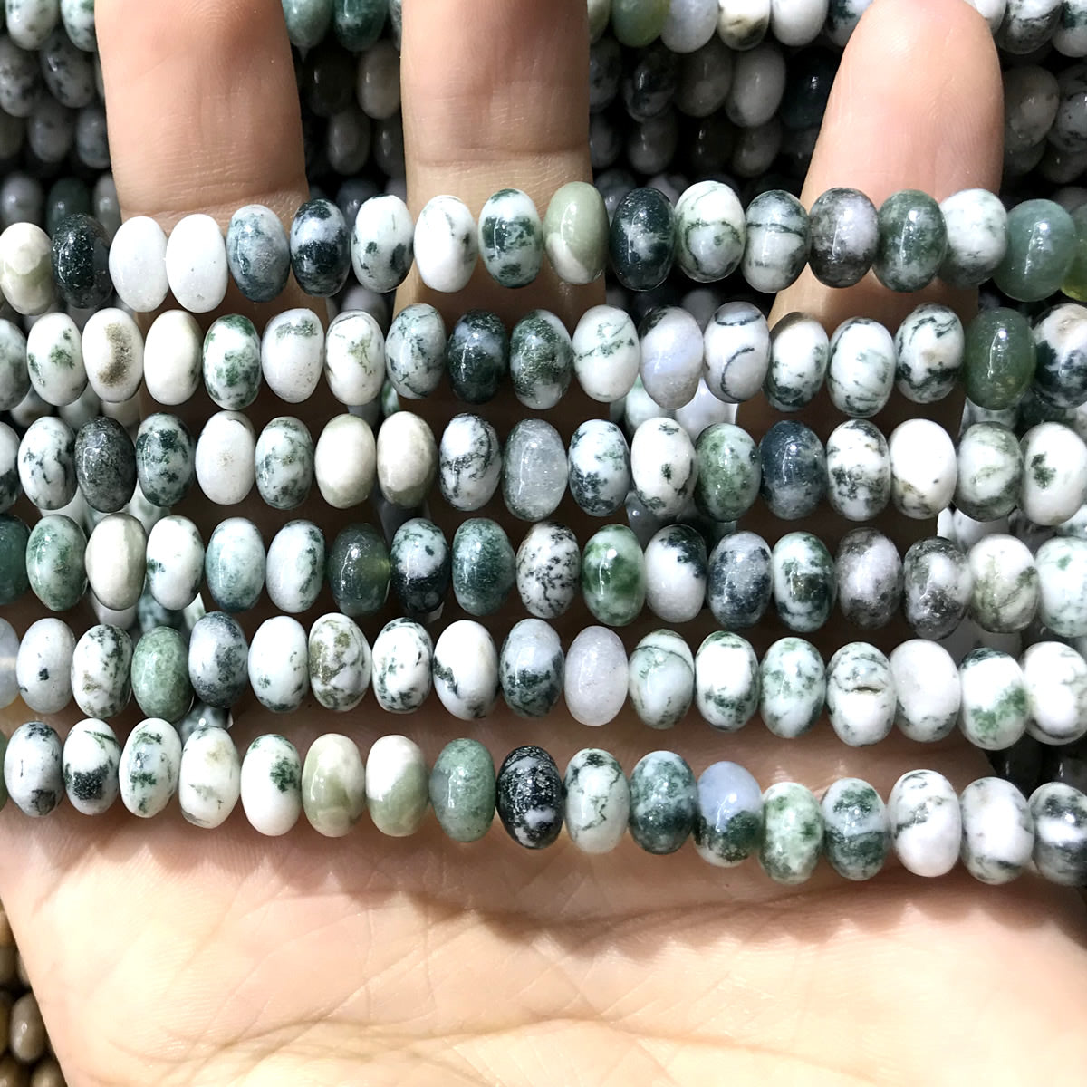 CRB278 Tree Agate Beads Smooth Rondelle 5x8mm 15" Strand