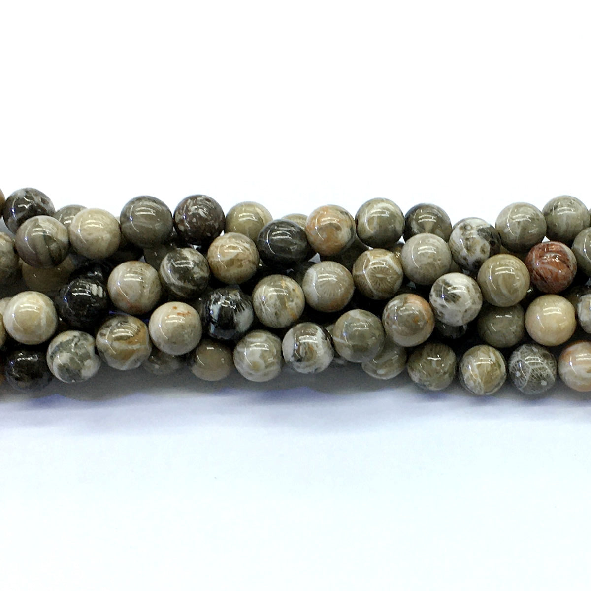 CAG112 Chrysanthemum Agate Beads Smooth Round 8mm 15.5" Strand