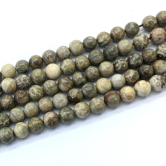 CAG113 Chrysanthemum Agate Beads Smooth Round 10mm 15.5" Strand