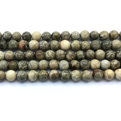 CAG113 Chrysanthemum Agate Beads Smooth Round 10mm 15.5" Strand