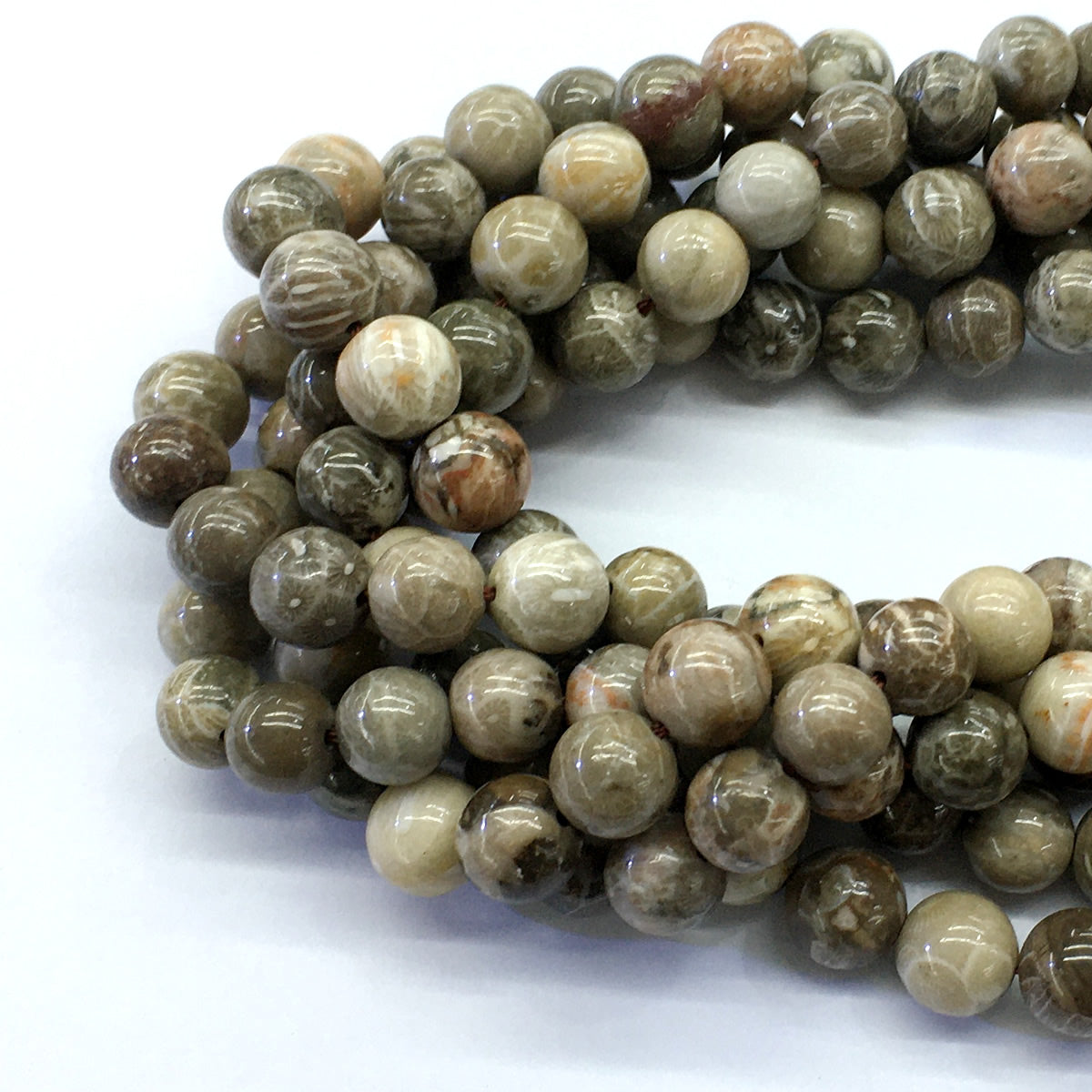 CAG113 Chrysanthemum Agate Beads Smooth Round 10mm 15.5" Strand