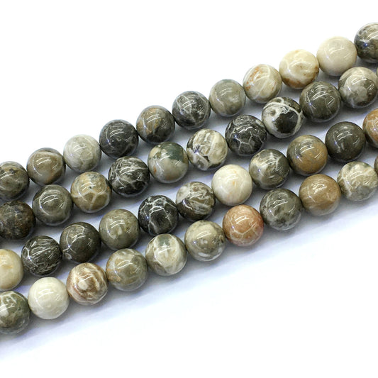 CAG114 Chrysanthemum Agate Beads Smooth Round 12mm 15.5" Strand