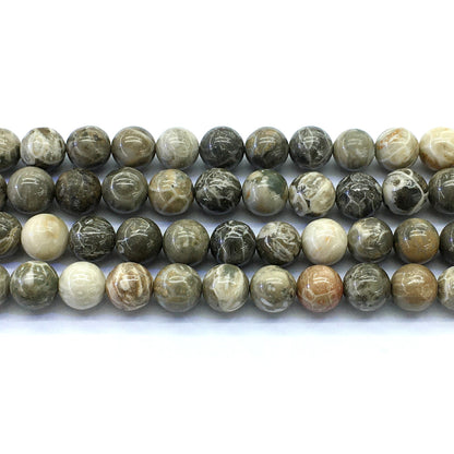 CAG114 Chrysanthemum Agate Beads Smooth Round 12mm 15.5" Strand