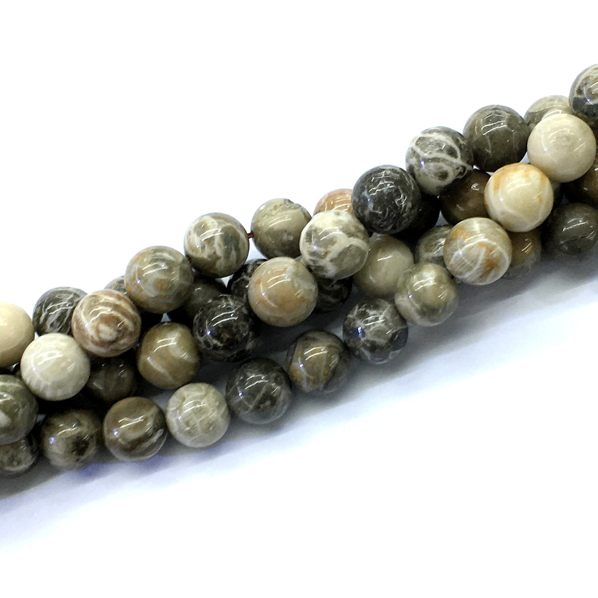 CAG114 Chrysanthemum Agate Beads Smooth Round 12mm 15.5" Strand