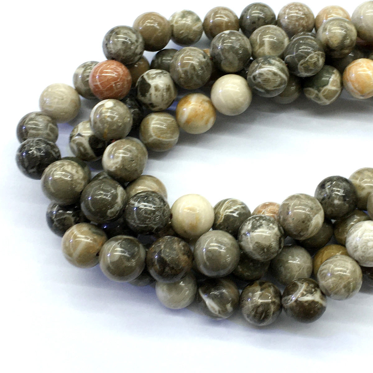 CAG114 Chrysanthemum Agate Beads Smooth Round 12mm 15.5" Strand