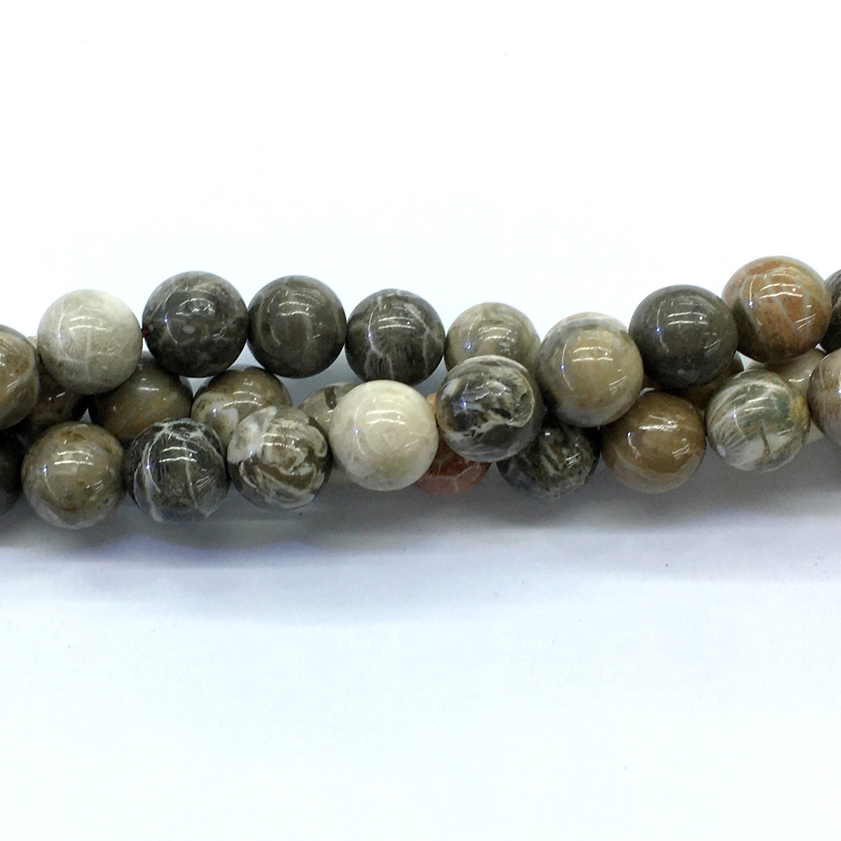 CAG115 Chrysanthemum Agate Beads Smooth Round 14mm 15.5" Strand