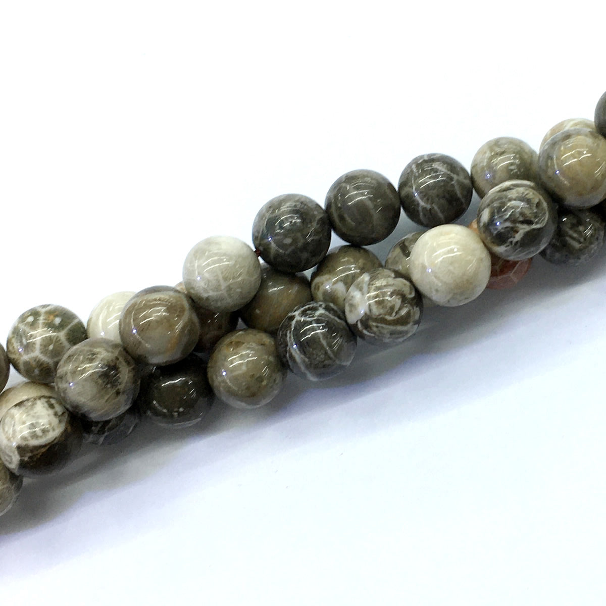 CAG115 Chrysanthemum Agate Beads Smooth Round 14mm 15.5" Strand