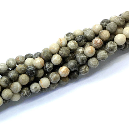 CAG119 Chrysanthemum Agate Beads Faceted Round 6mm 15.5" Strand