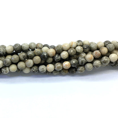 CAG119 Chrysanthemum Agate Beads Faceted Round 6mm 15.5" Strand