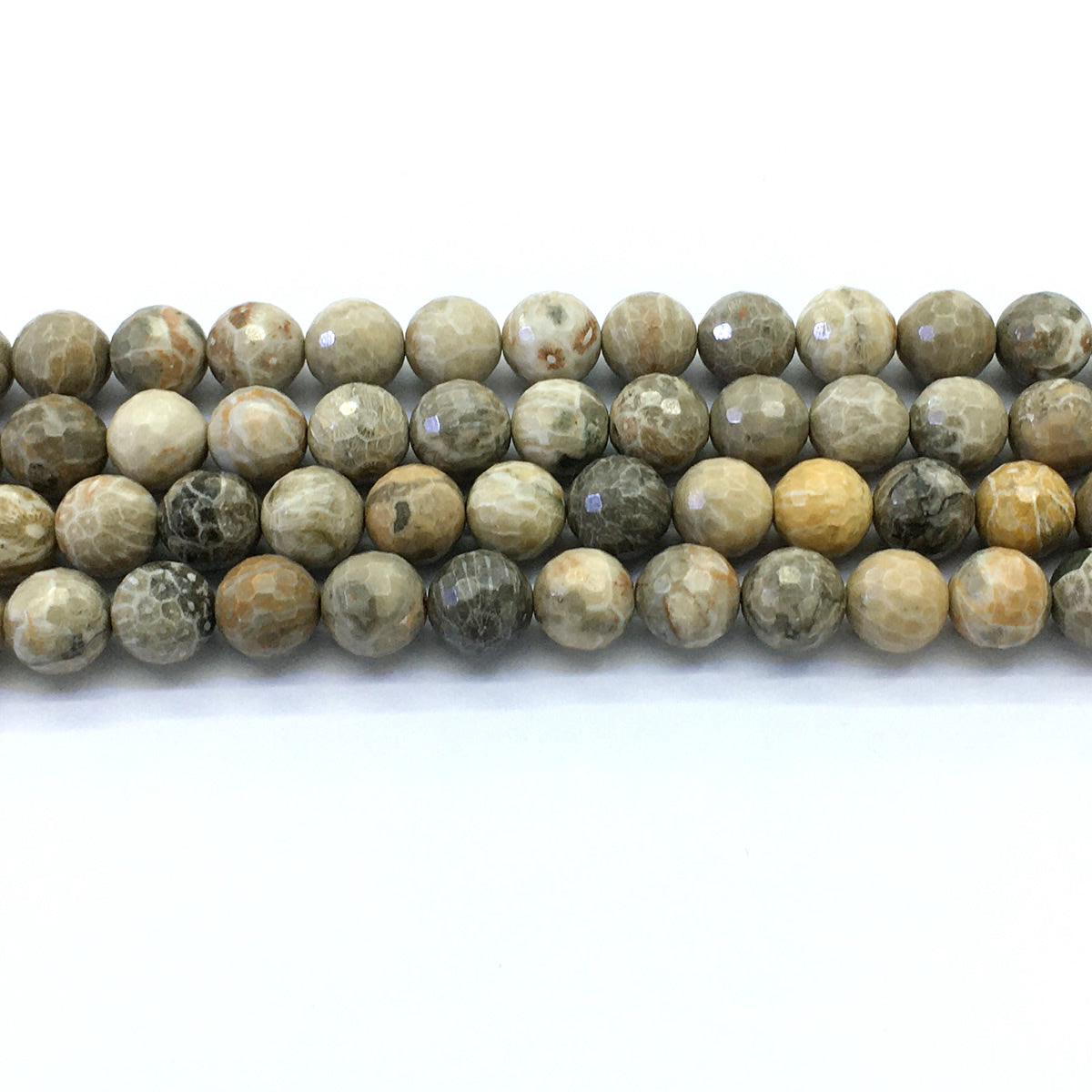 CAG122 Chrysanthemum Agate Beads Faceted Round 12mm 15.5" Strand