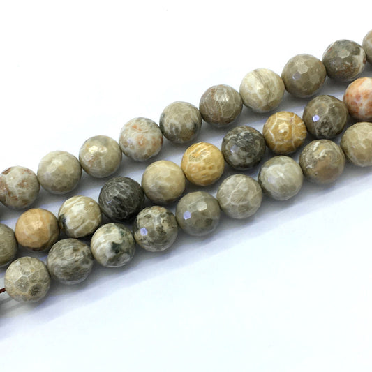 CAG123 Chrysanthemum Agate Beads Faceted Round 14mm 15.5" Strand