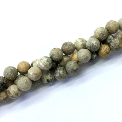 CAG123 Chrysanthemum Agate Beads Faceted Round 14mm 15.5" Strand