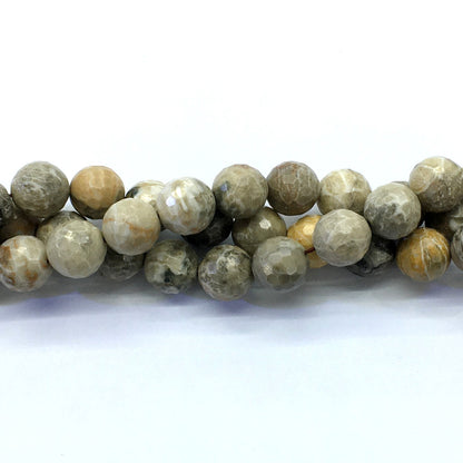 CAG123 Chrysanthemum Agate Beads Faceted Round 14mm 15.5" Strand