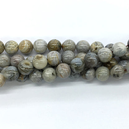 CAG130 Bamboo Leaf Agate Beads Smooth Round 12mm 15.5" Strand