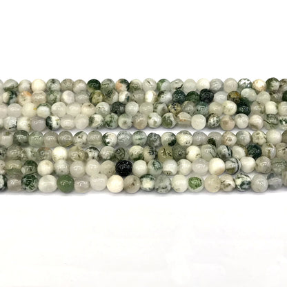 CAG228 Tree Agate Beads Smooth Round 4mm 15" Strand