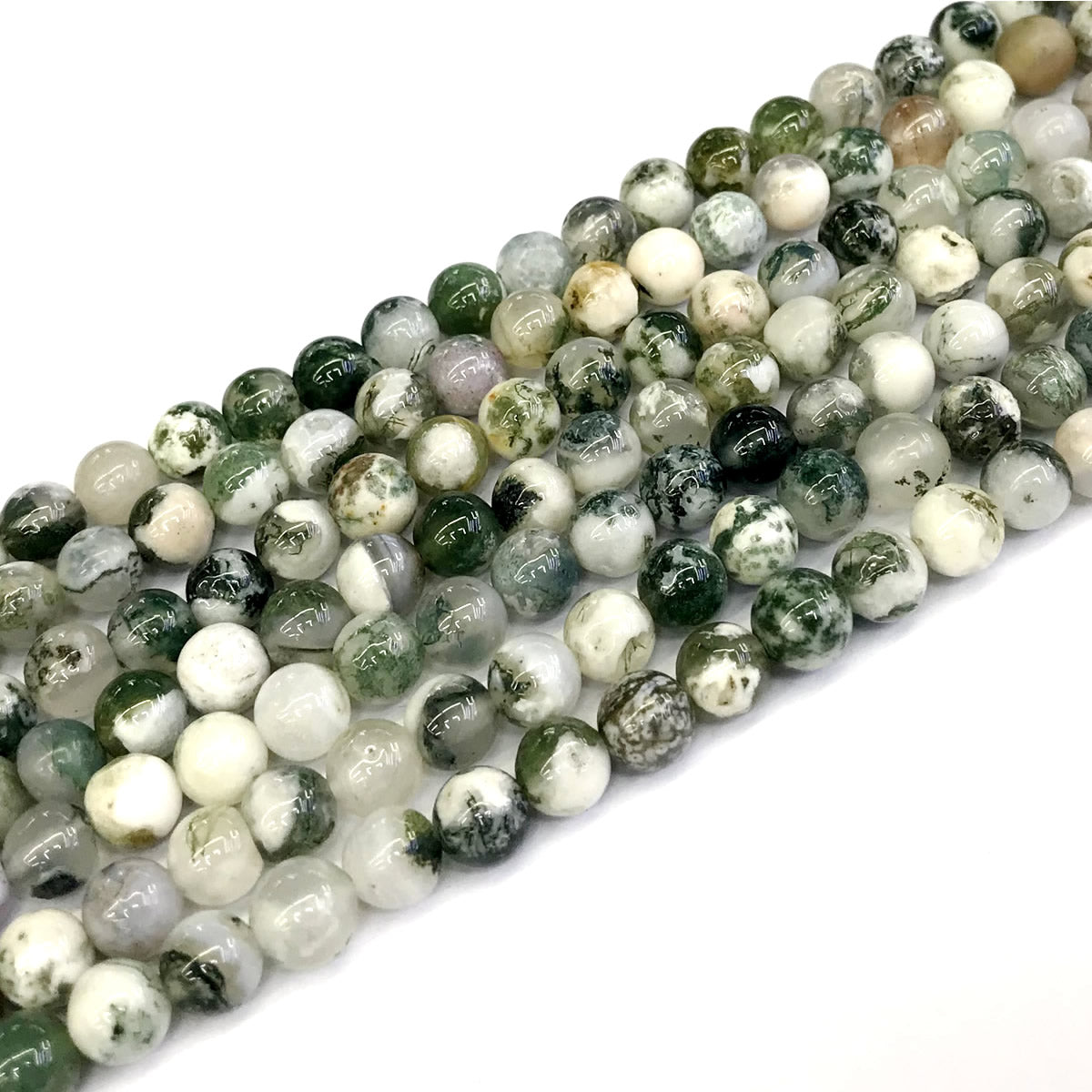 CAG229 Tree Agate Beads Smooth Round 6mm 15" Strand