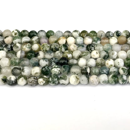 CAG229 Tree Agate Beads Smooth Round 6mm 15" Strand