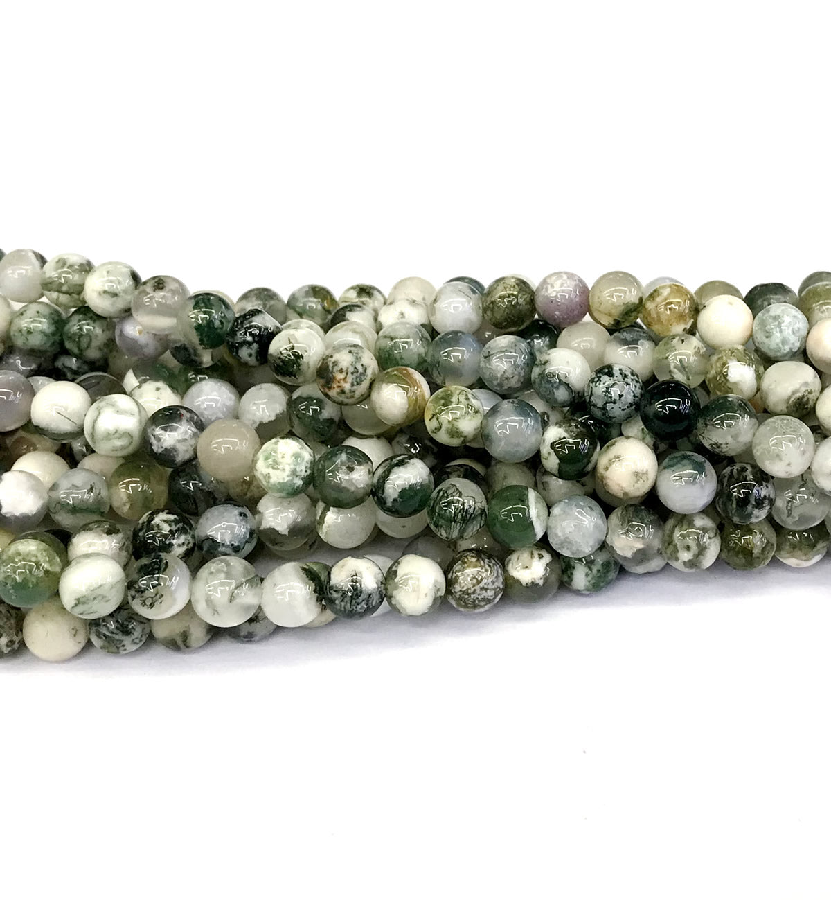 CAG229 Tree Agate Beads Smooth Round 6mm 15" Strand